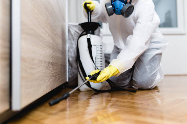 Best Pest Control for Businesses  in Italy, TX