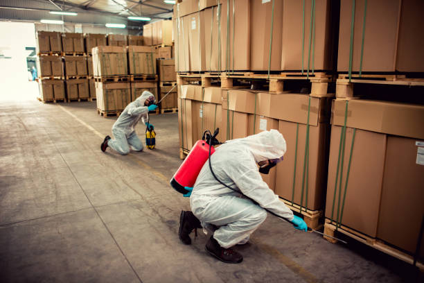 Best Affordable Pest Control Services  in Italy, TX