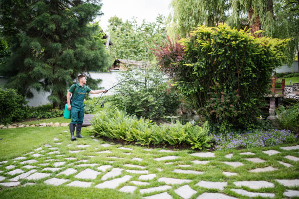 Best Local Pest Control Services  in Italy, TX