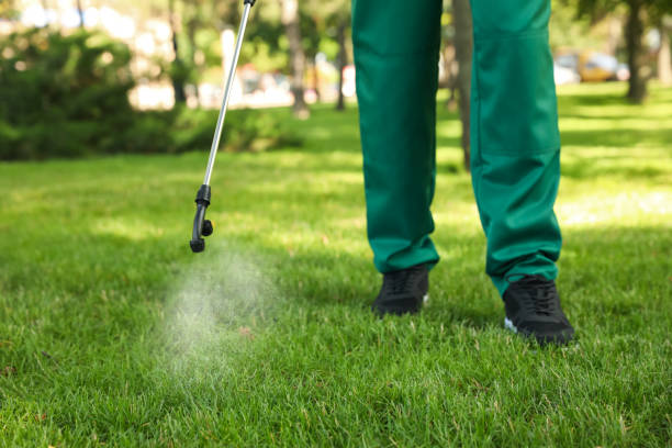 Best Residential Pest Control  in Italy, TX